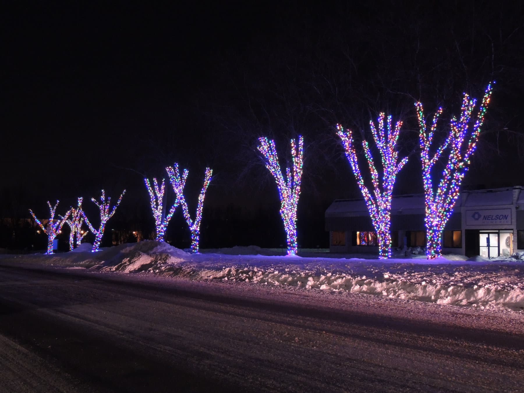 Multi-color LED Trees, Minneapolis, MN