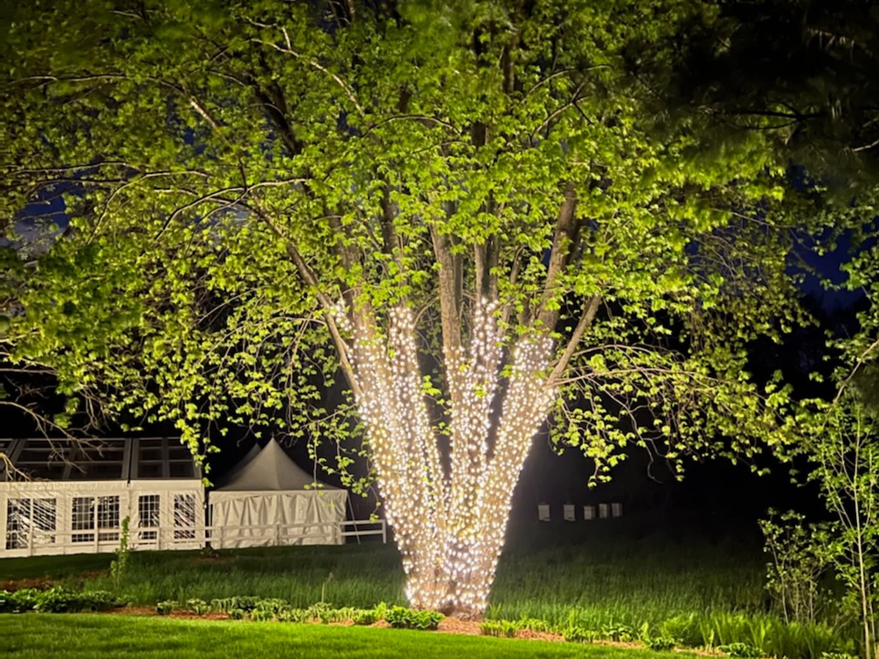 Backyard Wedding, Inver Grove Heights, MN