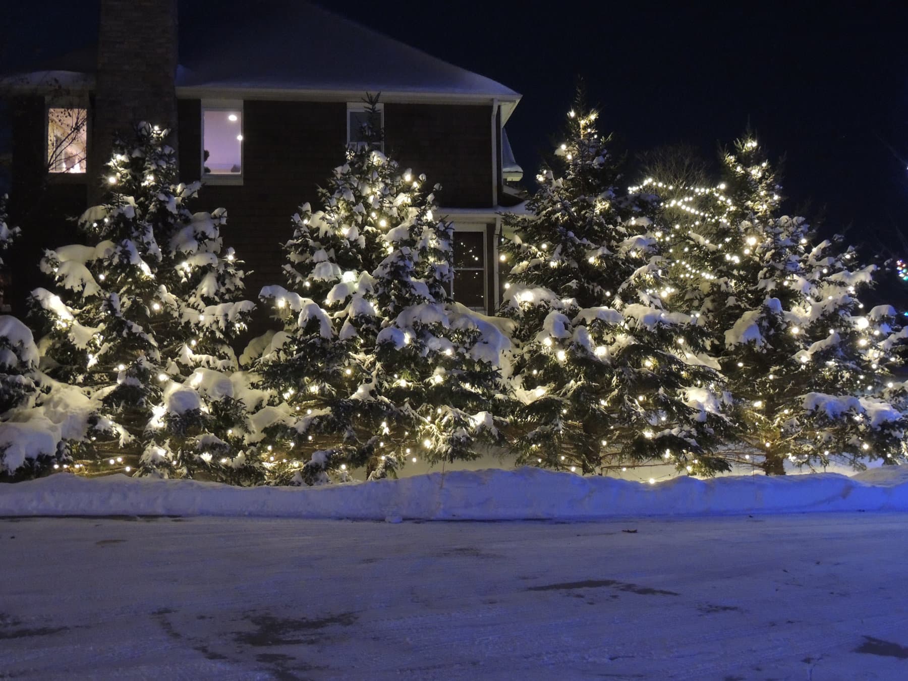 Warm White LED Trees, Woodbury, MN